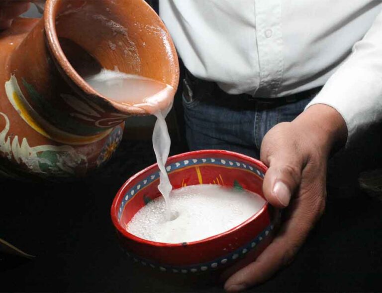 pulque