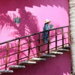 Rosa-Mexicano-PORTADA