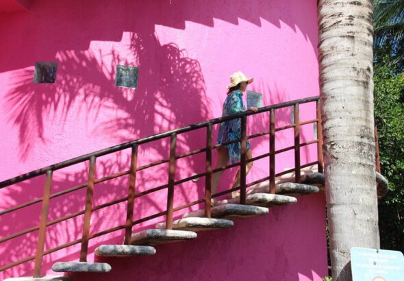 Rosa-Mexicano-PORTADA