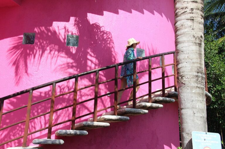 Rosa-Mexicano-PORTADA