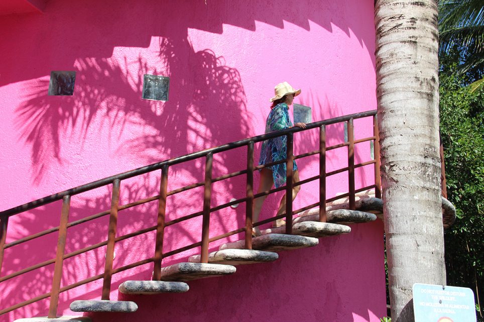 Rosa-Mexicano-PORTADA