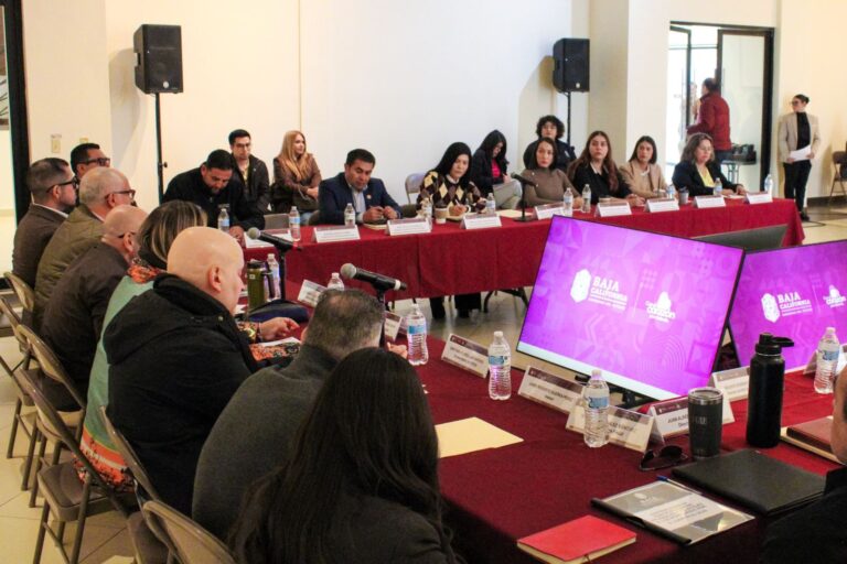 WhatsApp Image 2026-02-19 at 20.15.28 c