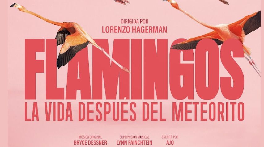 Julieta Venegas narra ‘Flamingos’- el documental que retrata la vida salvaje