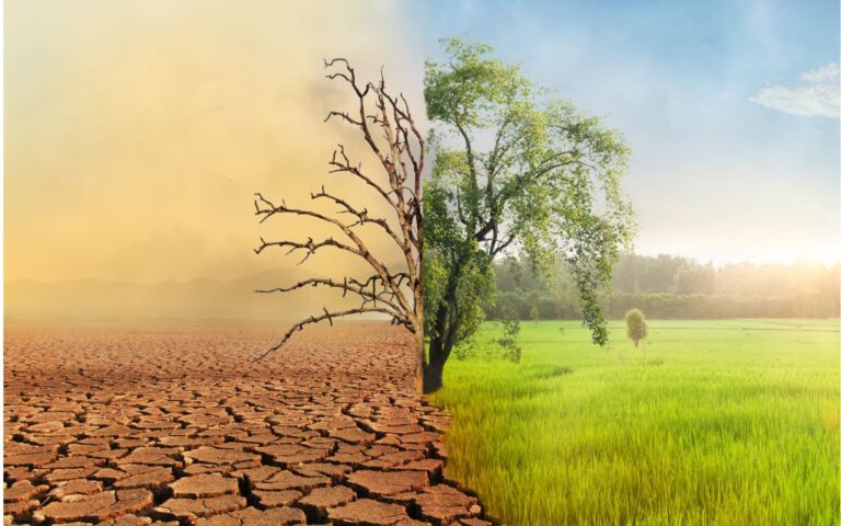 crisis-climatica-cambio-climatico-biodiversidad-sequia-naturaleza-arbol-verde-201125
